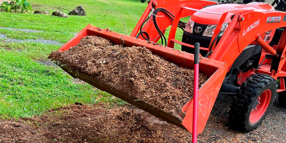 Landscaping Servivces